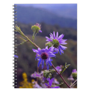 Wildes Aster-Notizbuch Notizblock