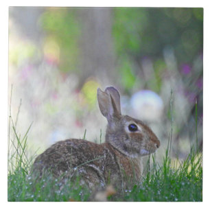 Wildes Bunny Rabbit im Gras Fliese