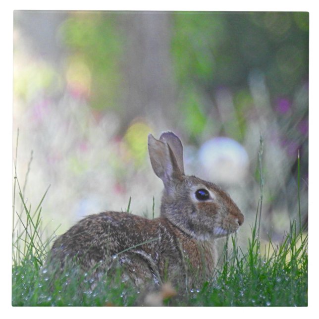 Wildes Bunny Rabbit im Gras Fliese (Vorderseite)