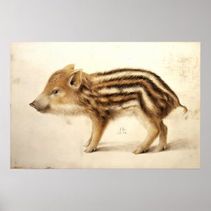 WILDES FERKEL / Tierzeichnungen Poster