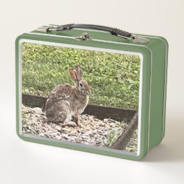 Wildes Kaninchen im Garten, Lunchboxen