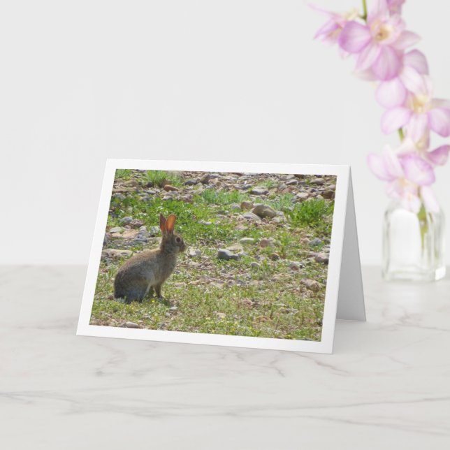 Wildes Kaninchen in Canyon Card Karte (Orchidee)
