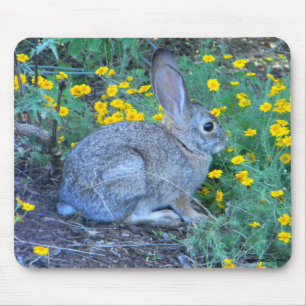 Wildes Kaninchen in den gelben Blumen Mousepad