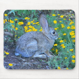 Wildes Kaninchen in den gelben Blumen Mousepad
