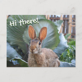 [Wildes Kaninchen] Niedlicher Hasen im Garten. Postkarte