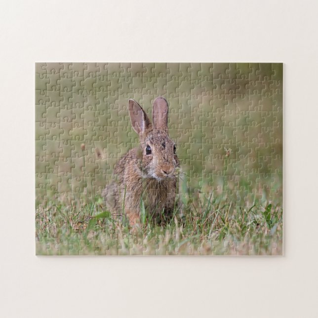 Wildes Kaninchen Puzzle (Horizontal)