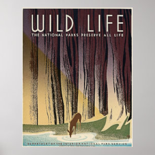 Wildes Leben - Die Nationalparks bewahren alles Le Poster