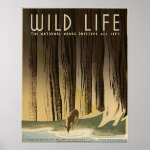 Wildes Leben konservieren die Nationalparks alles Poster