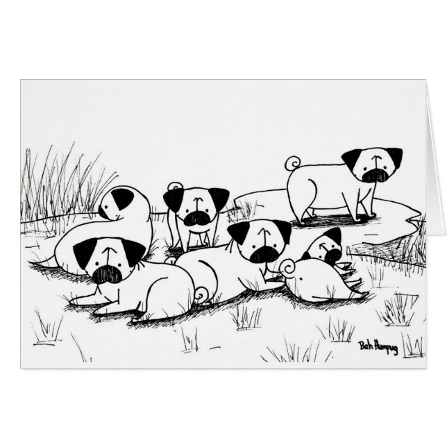 Wildes Mops-Murren (Vorderseite (Horizontal))