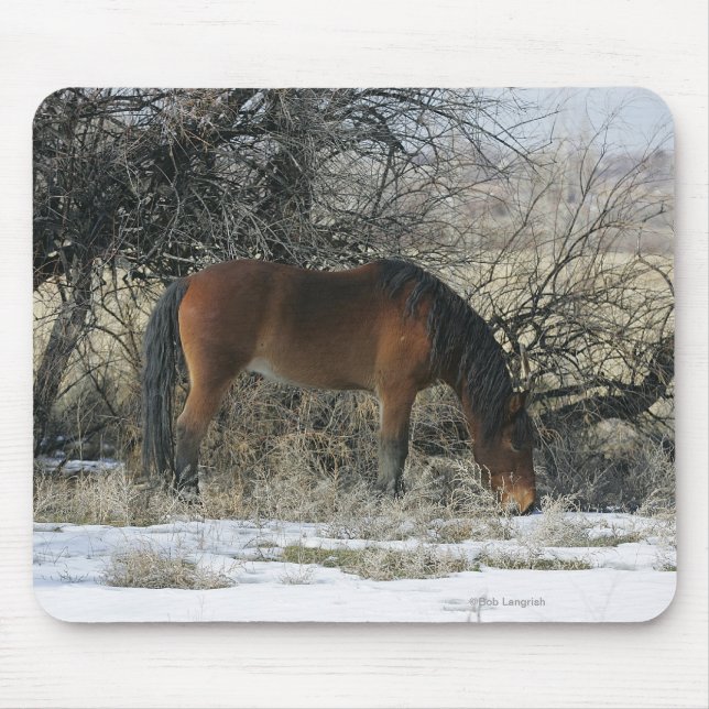 Wildes Mustang-Pferd im Schnee 1 Mousepad (Vorne)