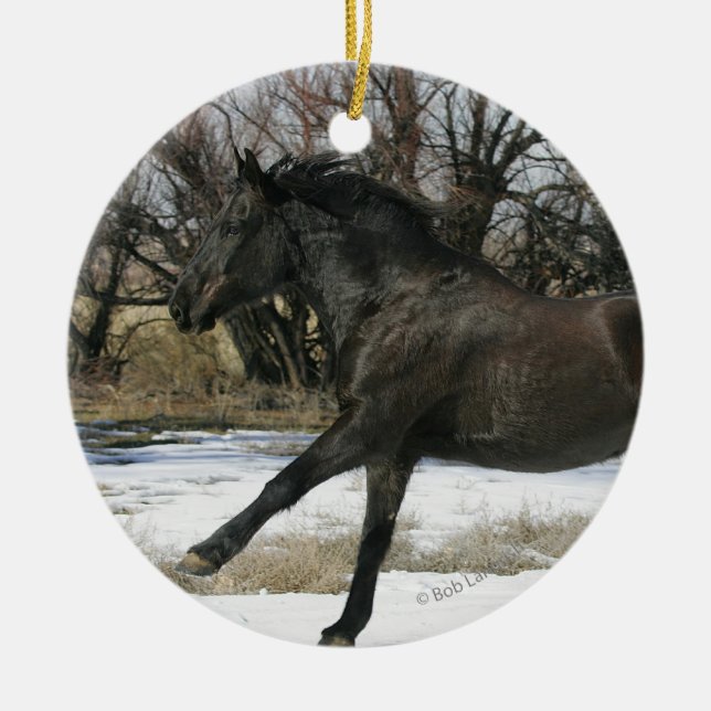 Wildes Mustang-Pferd im Schnee 2 Keramikornament (Vorne)