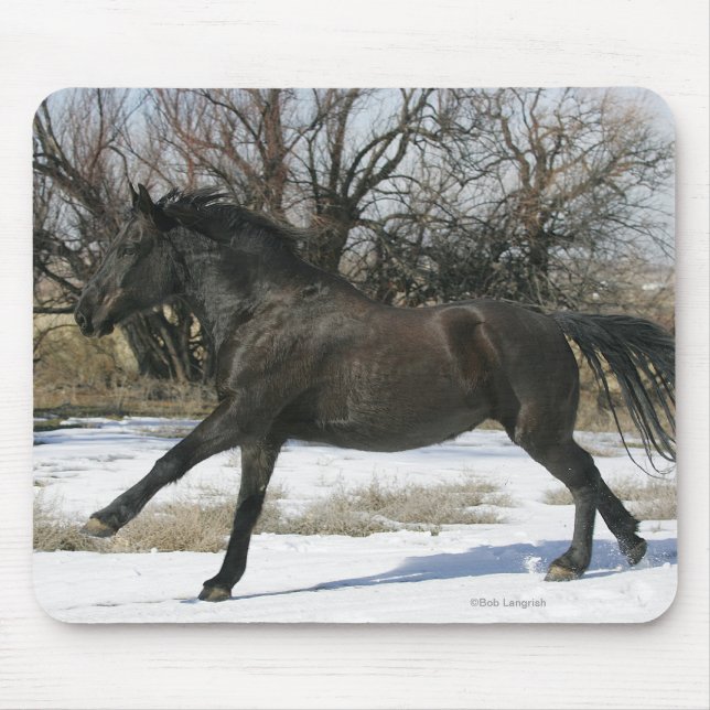 Wildes Mustang-Pferd im Schnee 2 Mousepad (Vorne)