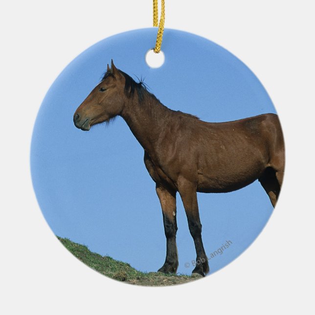 Wildes Mustang-Pferd Keramikornament (Vorne)