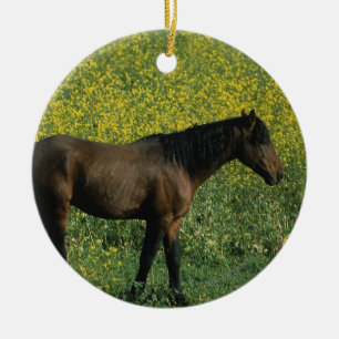 Wildes Mustang Pferd Stehend in Blume Keramikornament