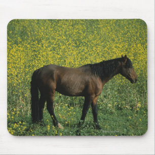 Wildes Mustang-Pferd stehend in den Blumen Mousepad