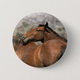 Wildes Mustang-Pferdeberühren Button