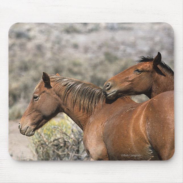 Wildes Mustang-Pferdeberühren Mousepad (Vorne)