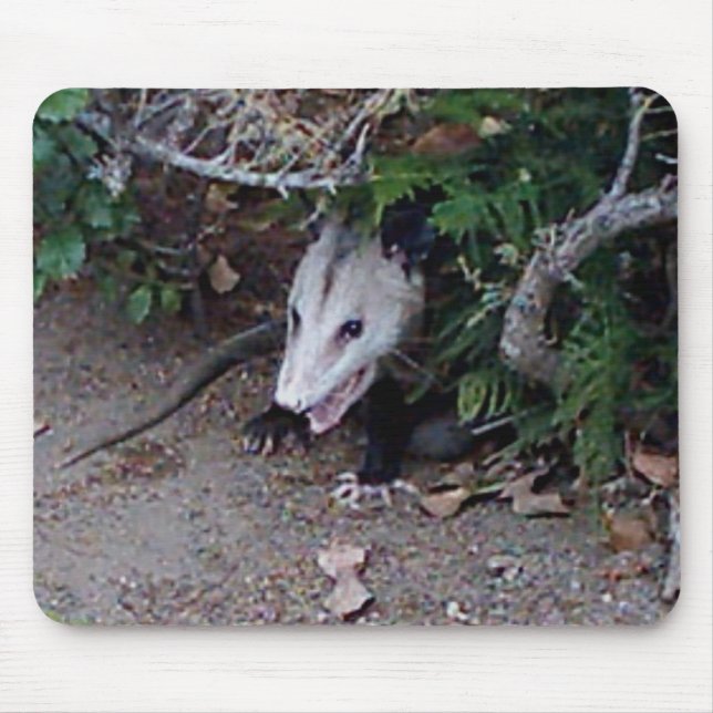 Wildes Opossum Mousepad (Vorne)