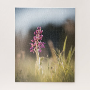 Wildes Orchideen-Naturfoto Puzzle