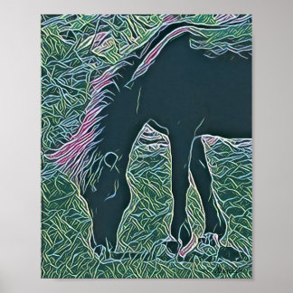 Wildes Pferd auf den Shackleford-Banken Poster