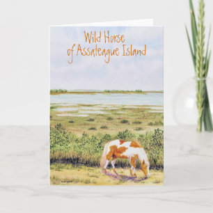 Wildes Pferd auf der Insel Assateague Karte