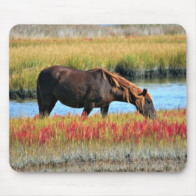 Wildes Pferd, das auf dem Feld isst Mousepad (Vorne)