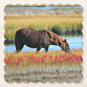 Wildes Pferd, das auf dem Feld isst Untersetzer
