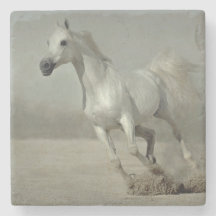 Wildes Pferd, das frei läuft