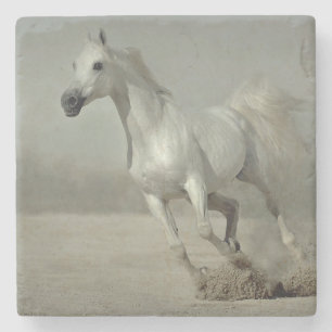 Wildes Pferd, das frei läuft Steinuntersetzer