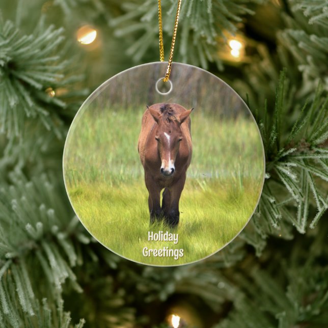 Wildes Pferd der Keramik Assateague Ornament (Baum)