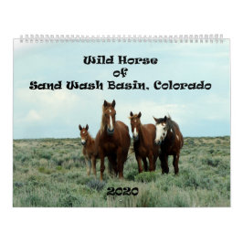 Wildes Pferd im Sandwaschbecken Kalender