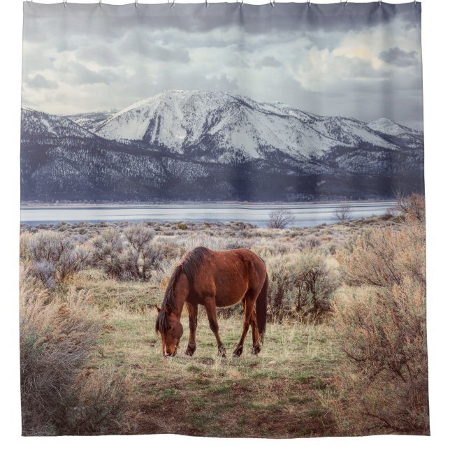 Wildes Pferd: Nevada Winterlandschaft. Duschvorhang (Vorderseite)