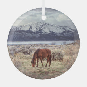 Wildes Pferd: Nevada Winterlandschaft. Ornament Aus Glas