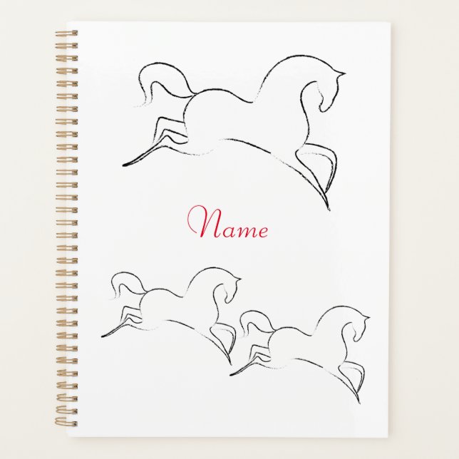 Wildes Pferd Thunder_Cove Planer (Vorderseite)