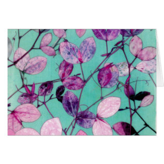 Wildes süße Erbse Blätter