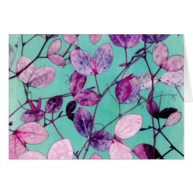 Wildes süße Erbse Blätter (Vorderseite (Horizontal))