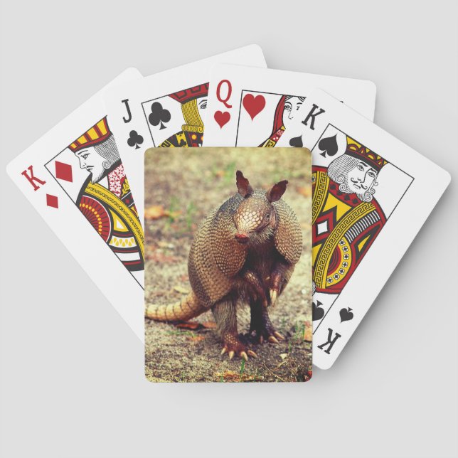 Wildes Tier des Gürteltiers Spielkarten (Rückseite)