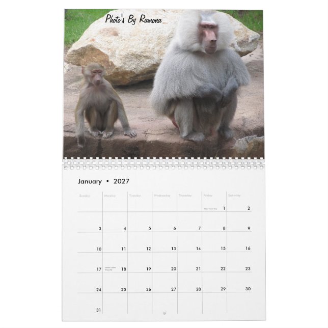 Wildes Tier-Kalender durch Ramona Taylor Kalender (Jan 2027)