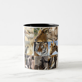 Wildes Tier stellt Tasse gegenüber