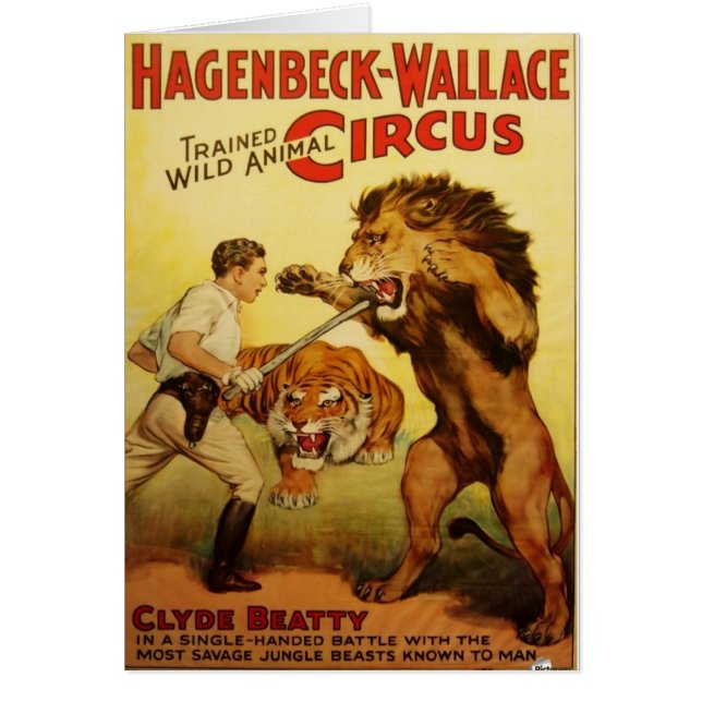 Wildes Tier zahmer (Vorne)