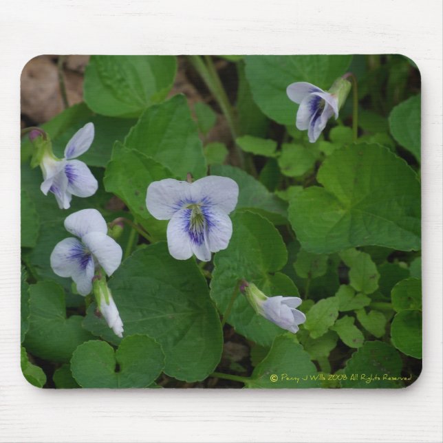 Wildes violettes Mousepad (Vorne)