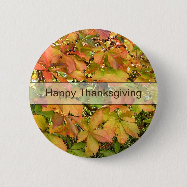 Wildes Weinstock-Blätter des Herbstes Button (Vorderseite)