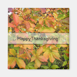 Wildes Weinstock-Blätter des Herbstes Magnet