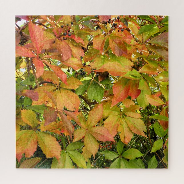 Wildes Weinstock-Blätter des Herbstes Puzzle (Vertikal)