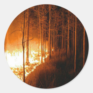 Wildfire Blaze Runder Aufkleber