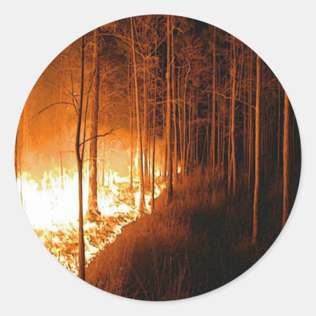 Wildfire Blaze Runder Aufkleber (Vorderseite)