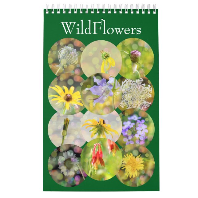Wildflower Close-Up Portrait Photography Kalender (Titelbild)