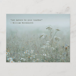 Wildflower Meadow - nature aesthetic Postkarte