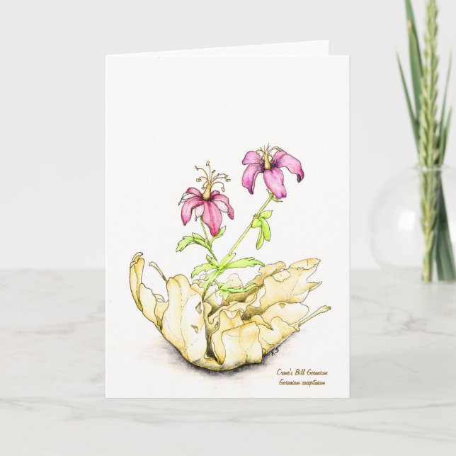 Wildflower watercolor geranium greeting card karte (Vorderseite)