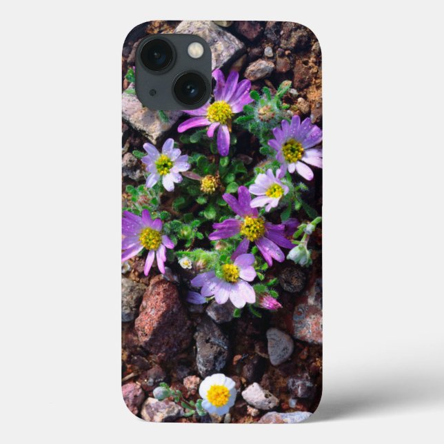 Wildflowers Case-Mate iPhone Hülle (Rückseite)